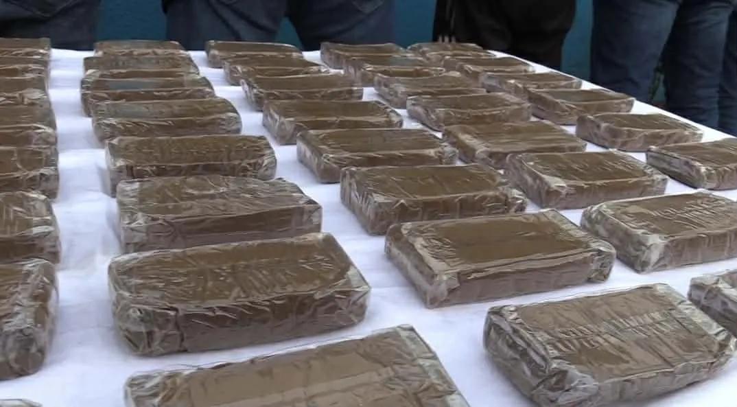 إحباط محاولة تهريب اكثر من 440 كلغ من الكيف المعالج بإقليم ولاية بشار
