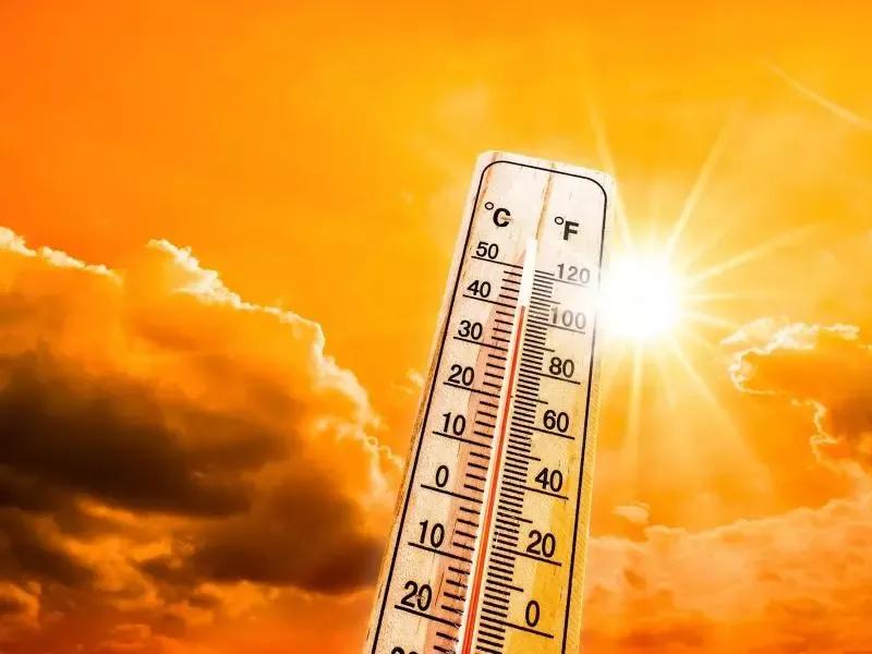 استمرار موجة الحر على عديد ولايات الوطن
