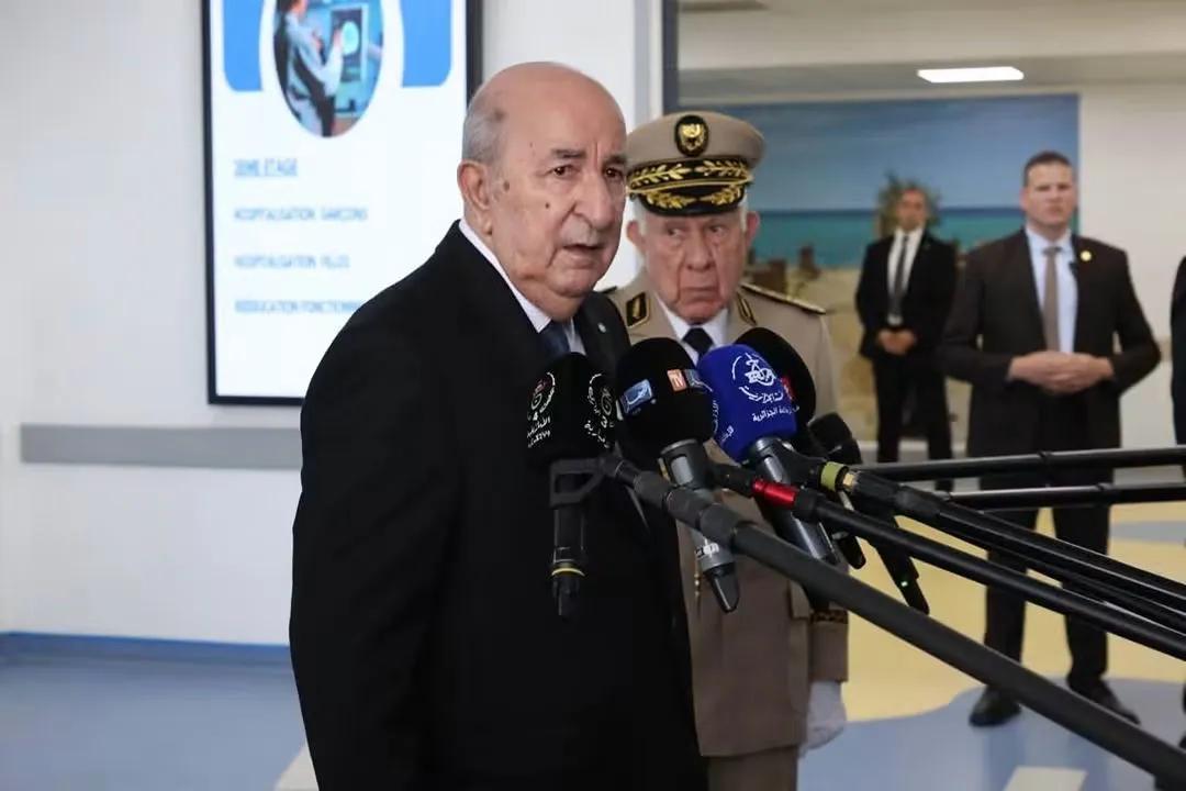 رئيس الجمهورية: من غير المستبعد وجود أياد إجرامية وراء اندلاع الحرائق التي شهدتها عدة ولايات من البلاد