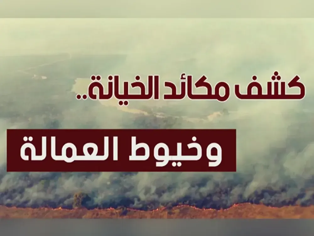 حرائق الغابات: إحباط مؤامرة دنيئة لإضعاف الجزائر وضرب وحدتها